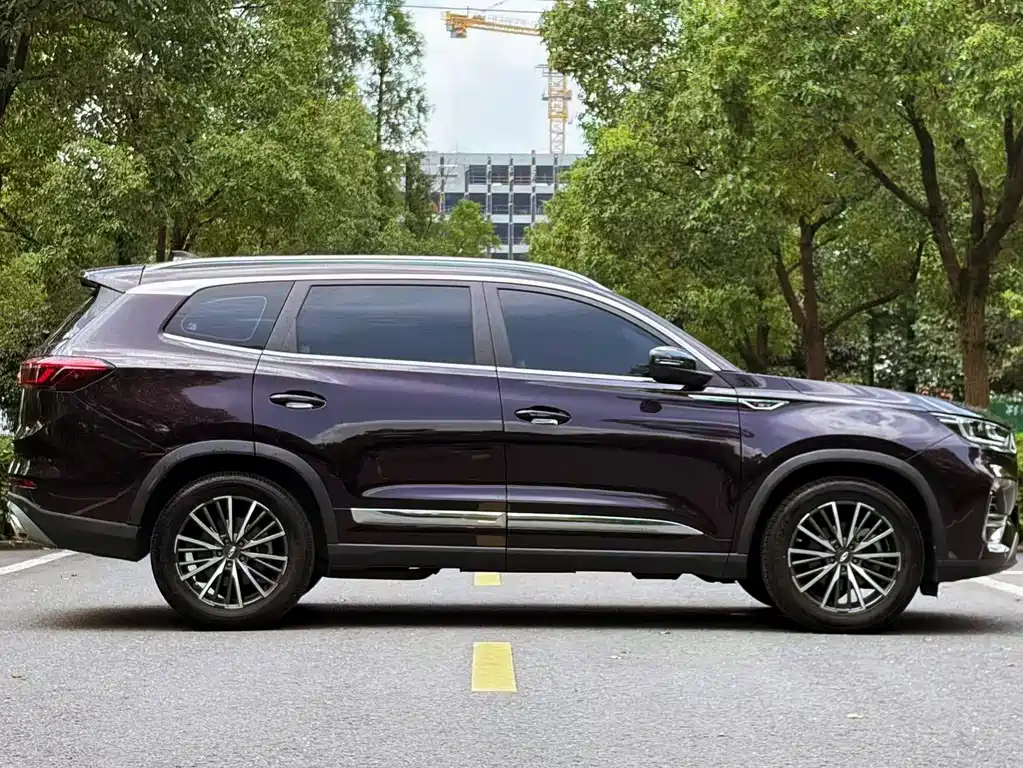 Chery Tiggo 8 PLUS 290TGDI DCT Luxury Enjoy Edition, фото 4