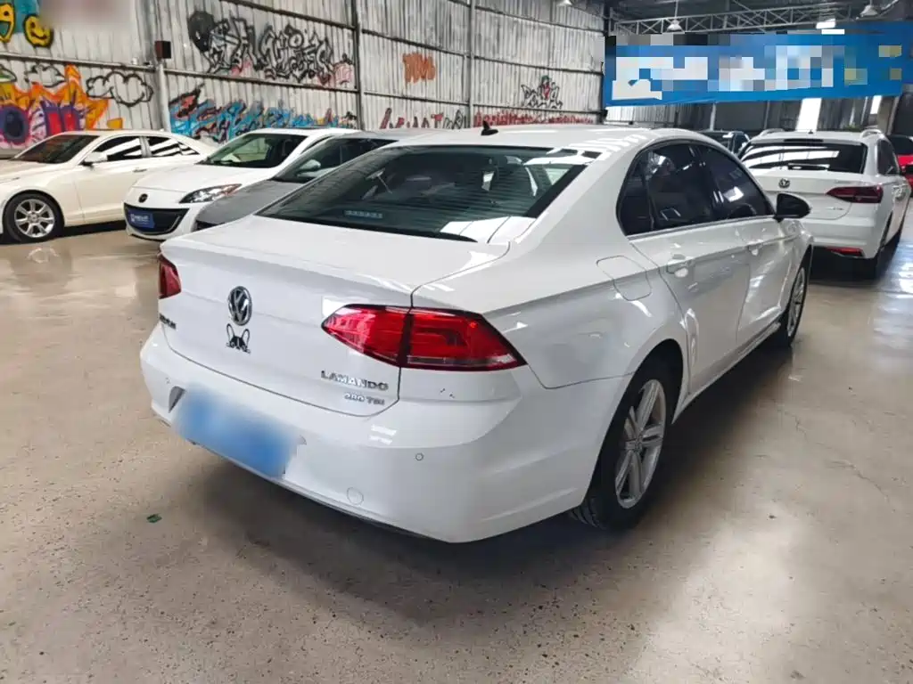 Volkswagen Lamando — миниатюра 7