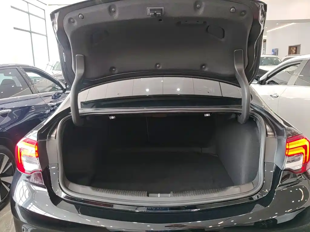Buick Regal — миниатюра 19