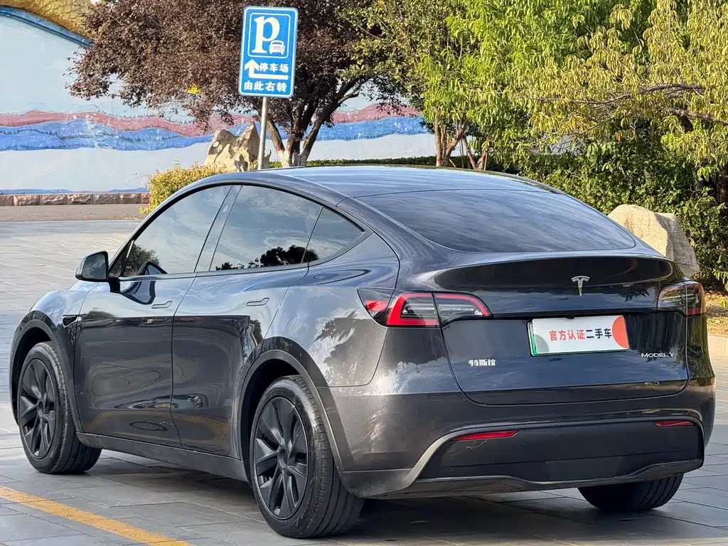 Tesla Model Y — миниатюра 7