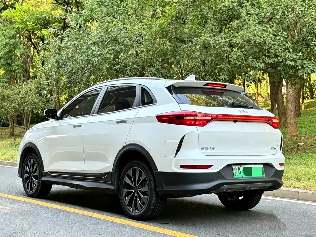 WM Motor EX5 — миниатюра 4