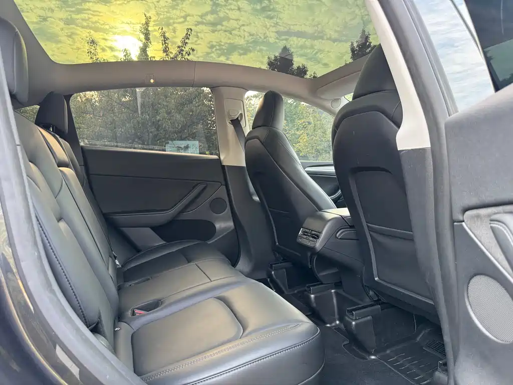 Tesla Model Y — миниатюра 17