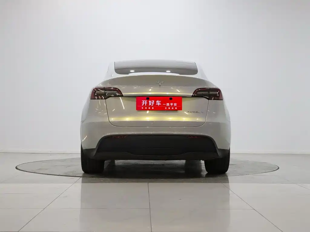 Tesla Model Y — миниатюра 5