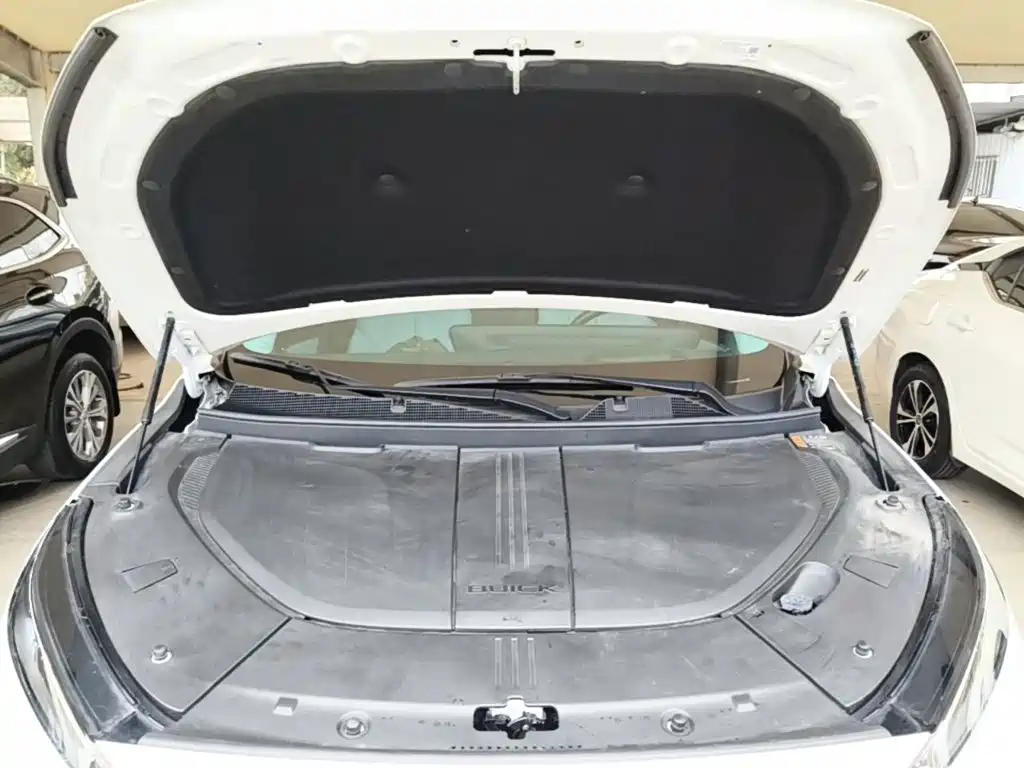 Buick E5 — миниатюра 20