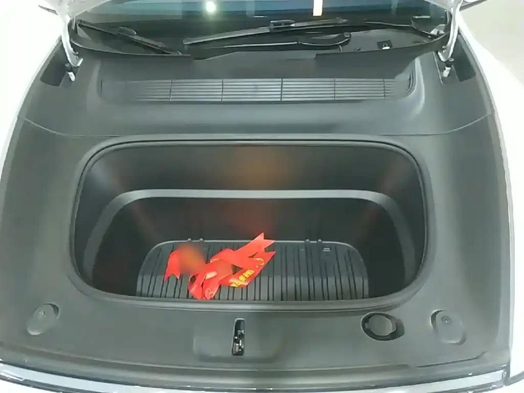 Tesla Model Y — миниатюра 16