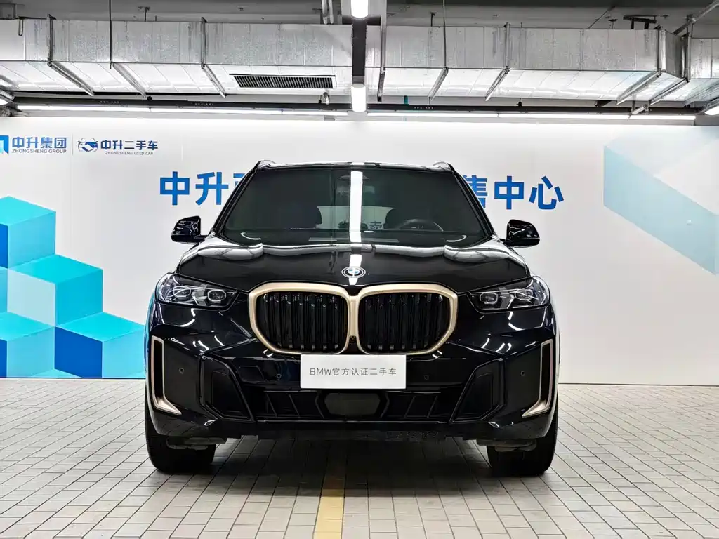 BMW X5 — миниатюра 2
