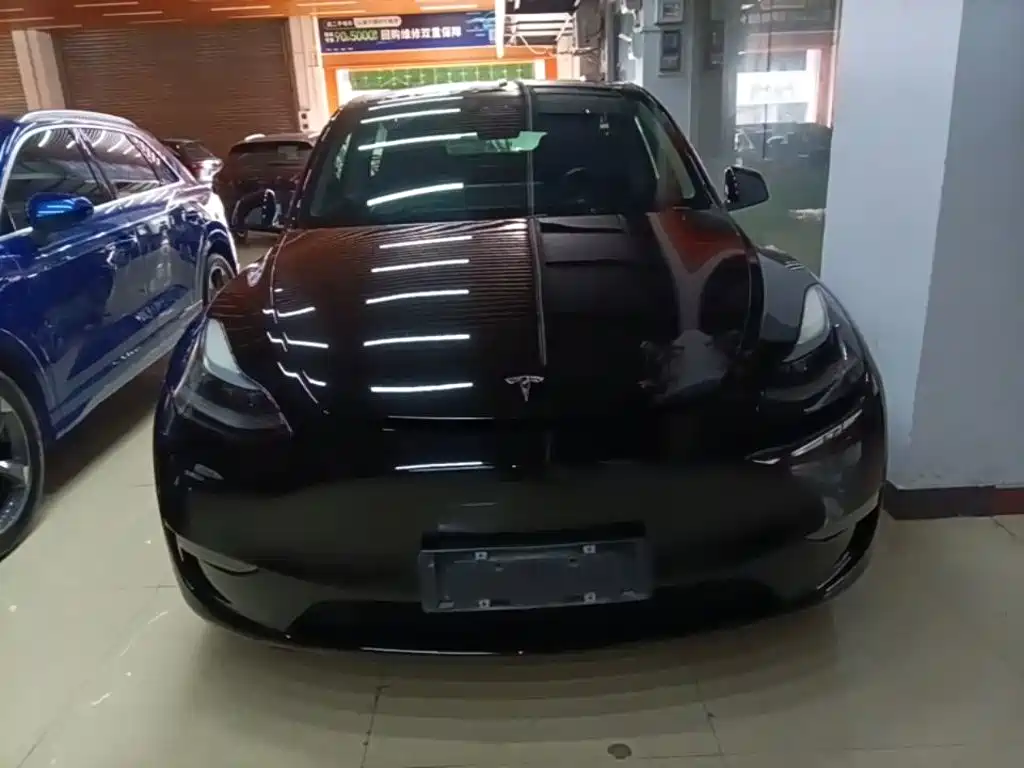 Tesla Model Y — миниатюра 3