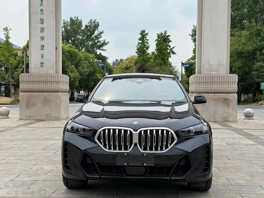 BMW X6 — миниатюра 2