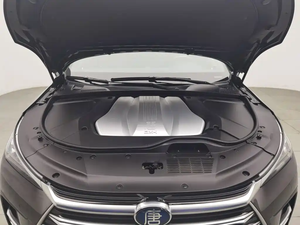 BYD Tang New Energy — миниатюра 6
