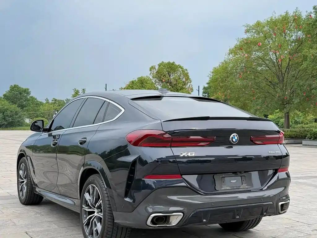 BMW X6 — миниатюра 7