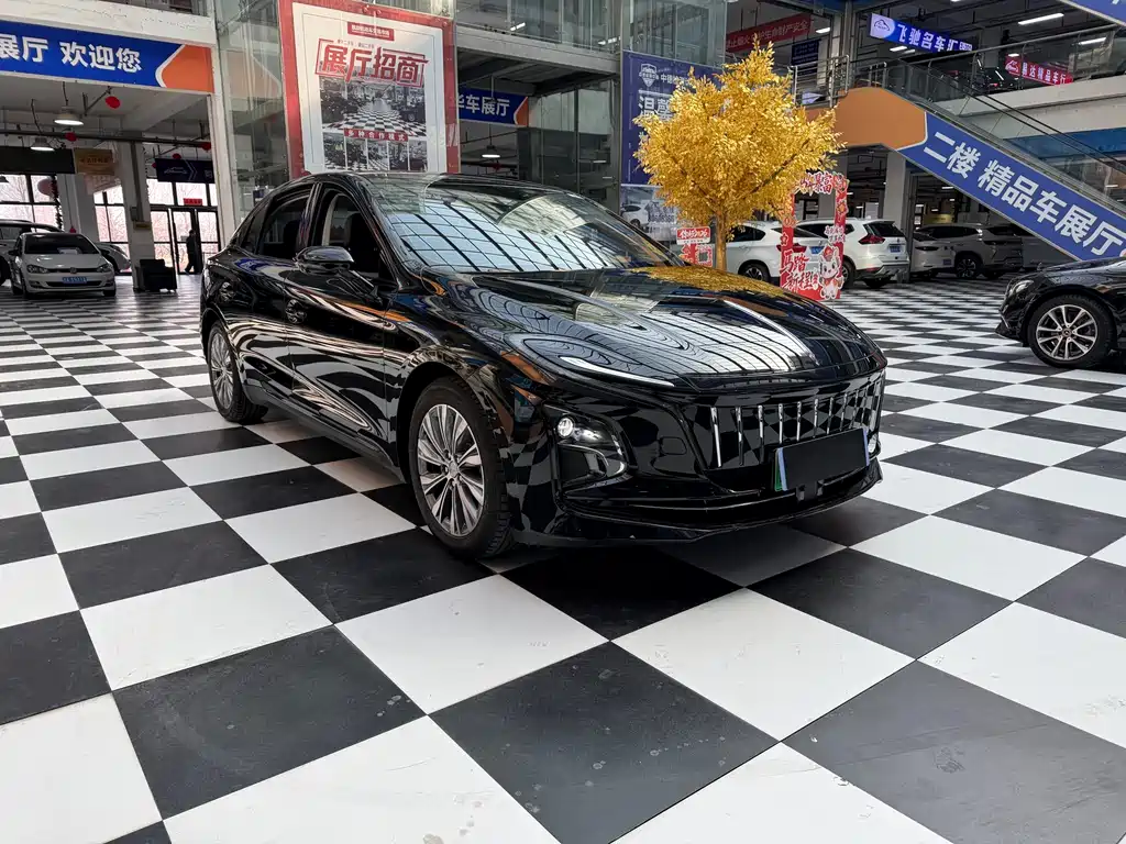 Hongqi HONGQI E QM5