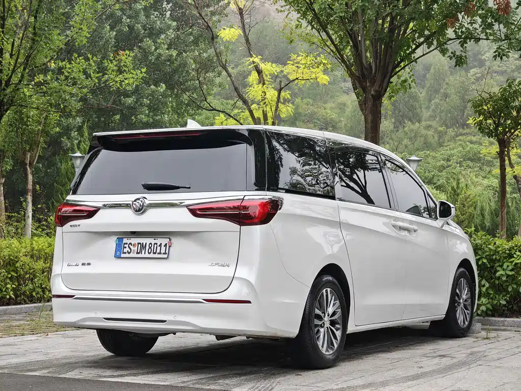 Buick GL8 — миниатюра 16