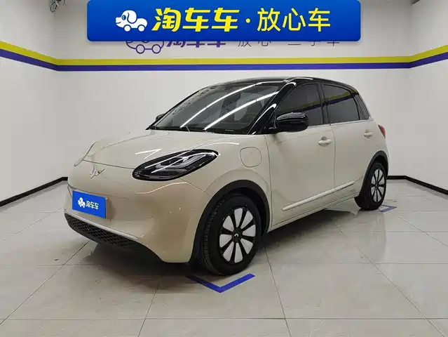 WULING AUTOMOBILE WULING BINGGUO 2024