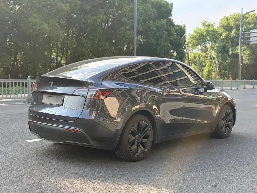 Tesla Model Y — миниатюра 4