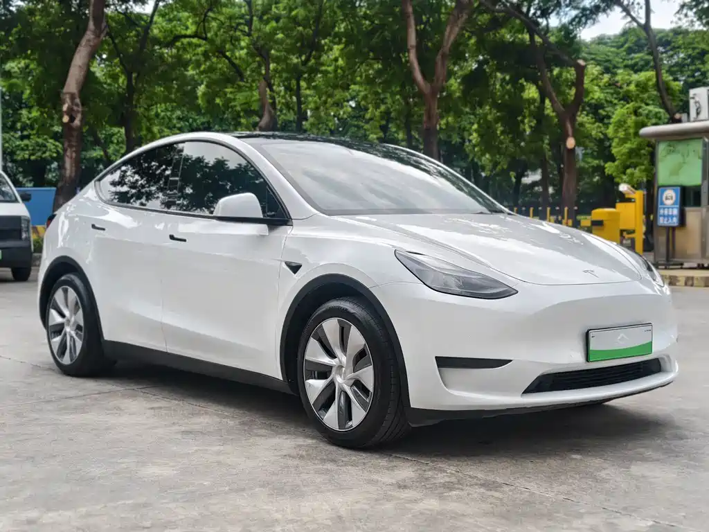 Tesla Model Y — миниатюра 4