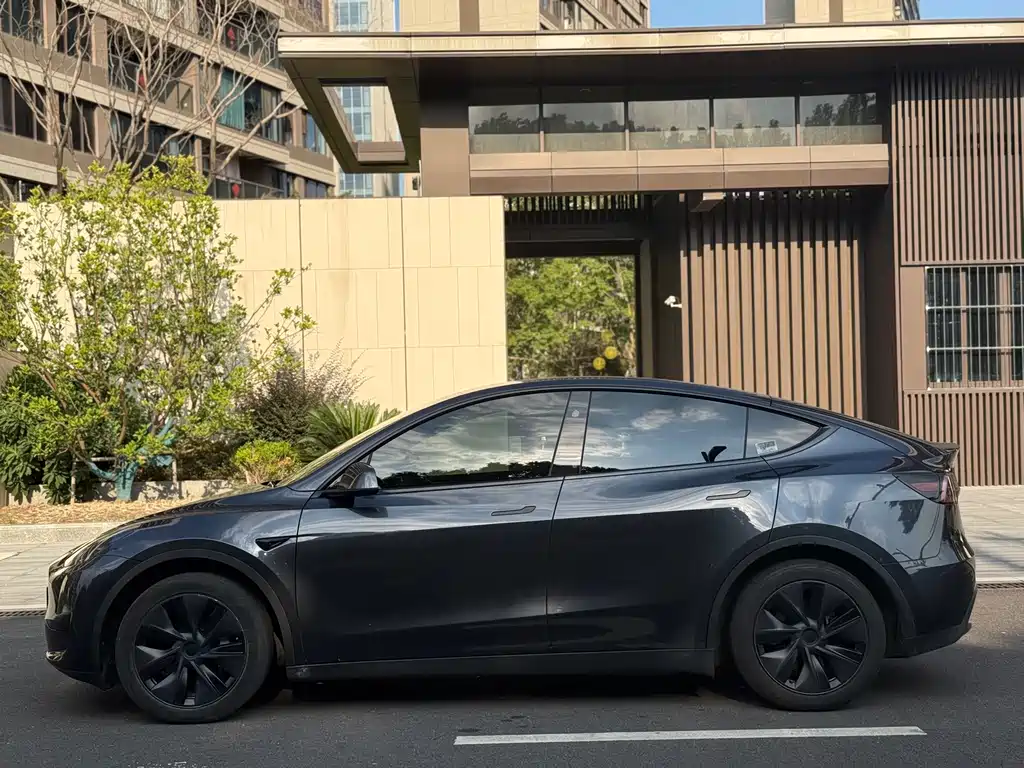 Tesla Model Y — миниатюра 7