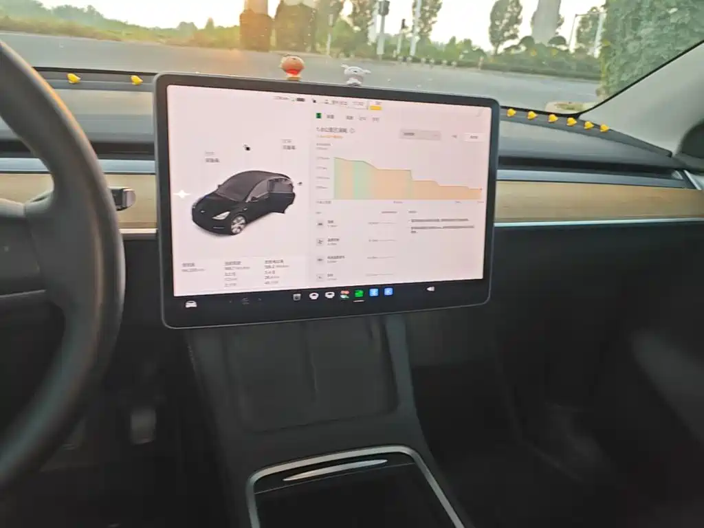 Tesla Model Y — миниатюра 13