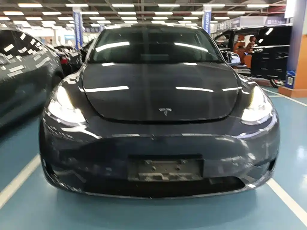 Tesla Model Y — миниатюра 3