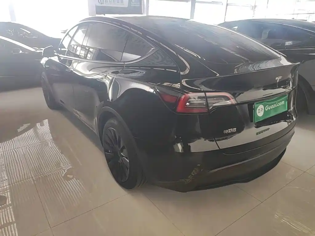 Tesla Model Y — миниатюра 5