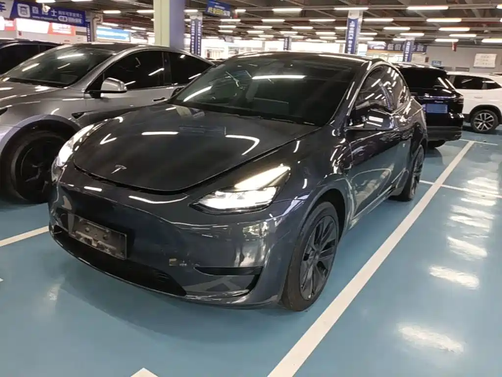 Tesla Model Y — миниатюра 2