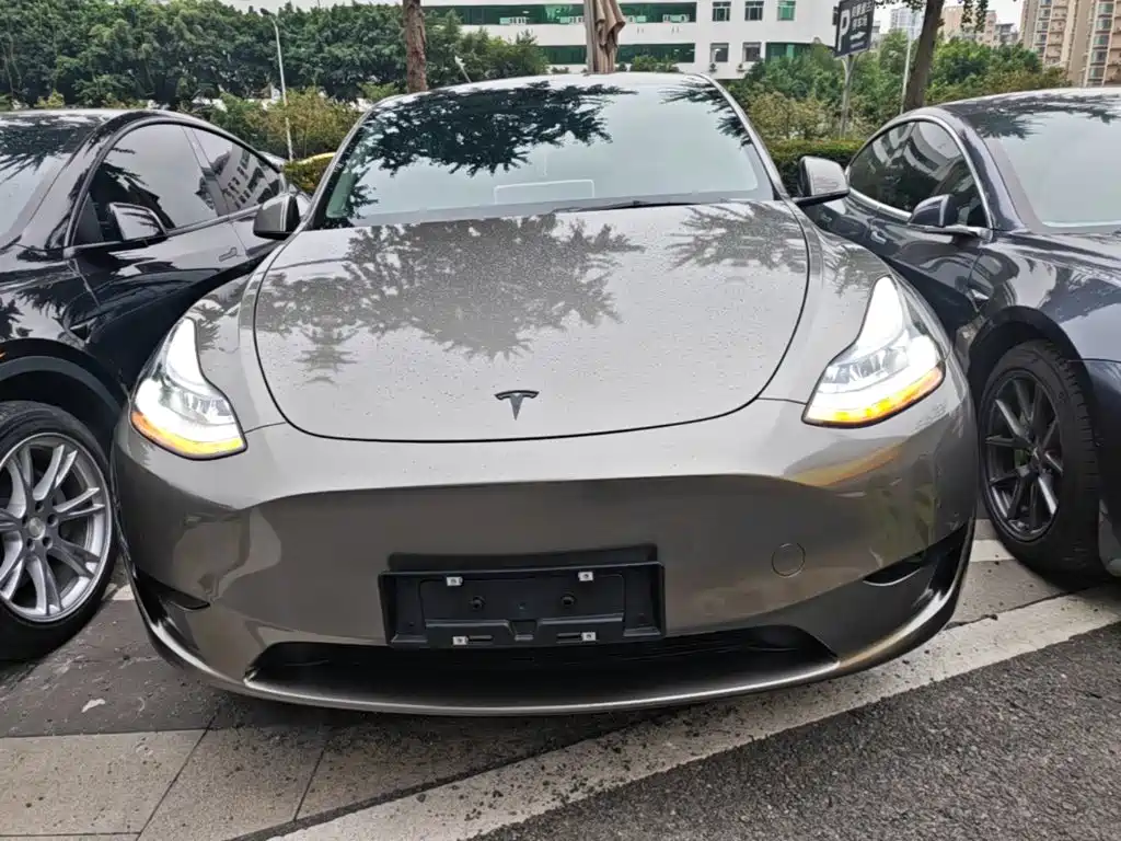 Tesla Model Y — миниатюра 3