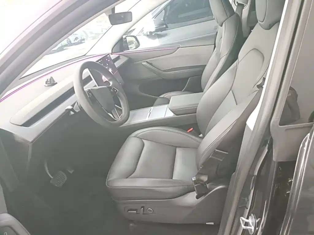 Tesla Model Y — миниатюра 15