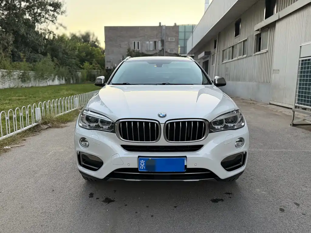 BMW X6 — миниатюра 2