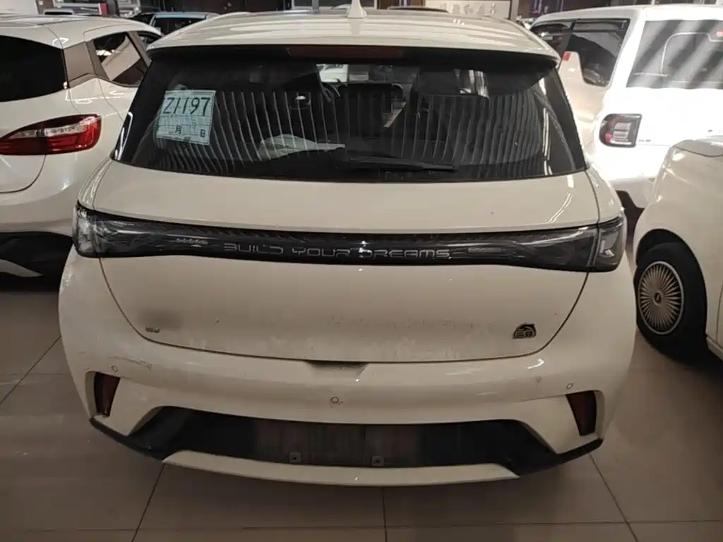 BYD Dolphin — миниатюра 6