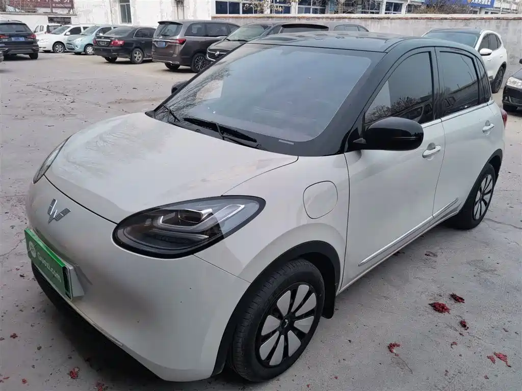 Wuling Bingo 2024