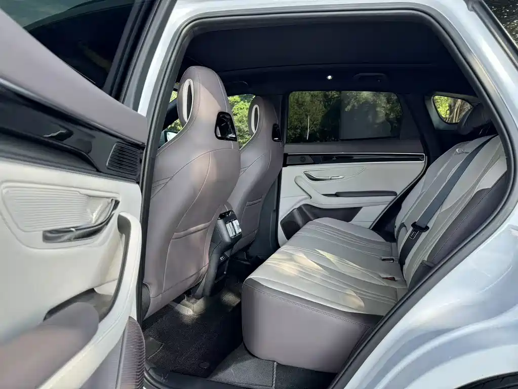 BYD SONGJIANG NEW ENERGY