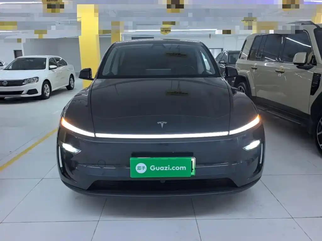 Tesla Model Y — миниатюра 3