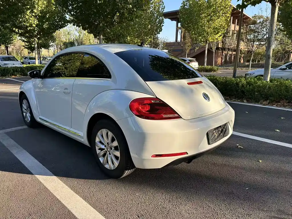 Volkswagen Beetle — миниатюра 13