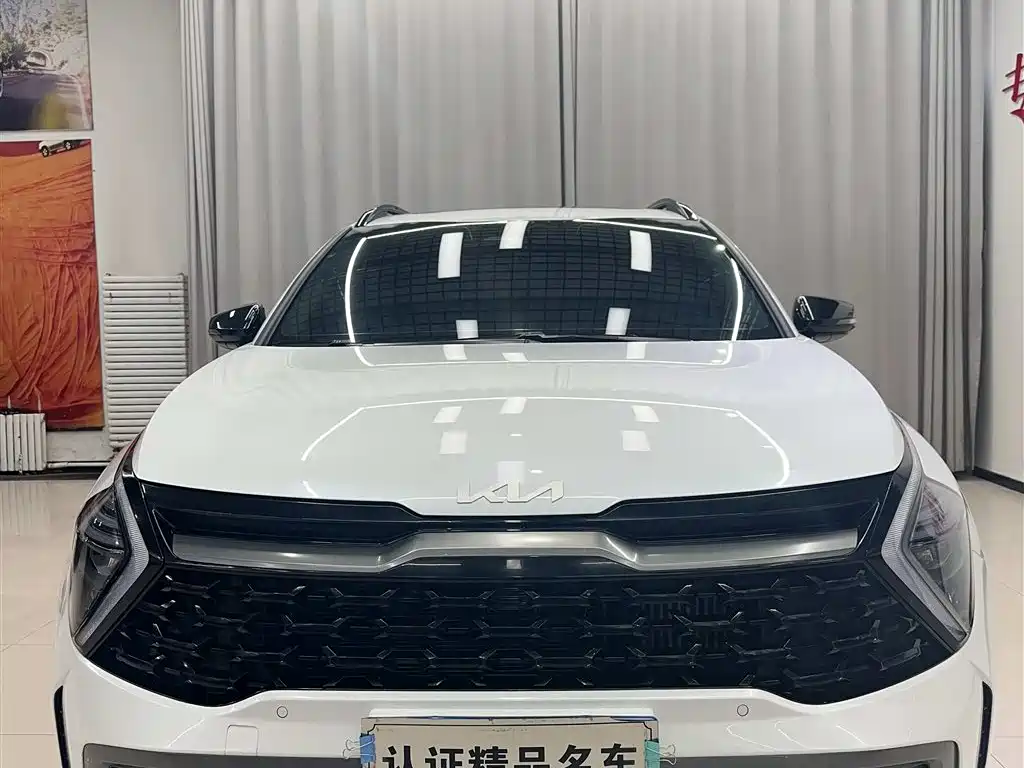 KIA LION PLATINUM EXPANDS THE WORLD