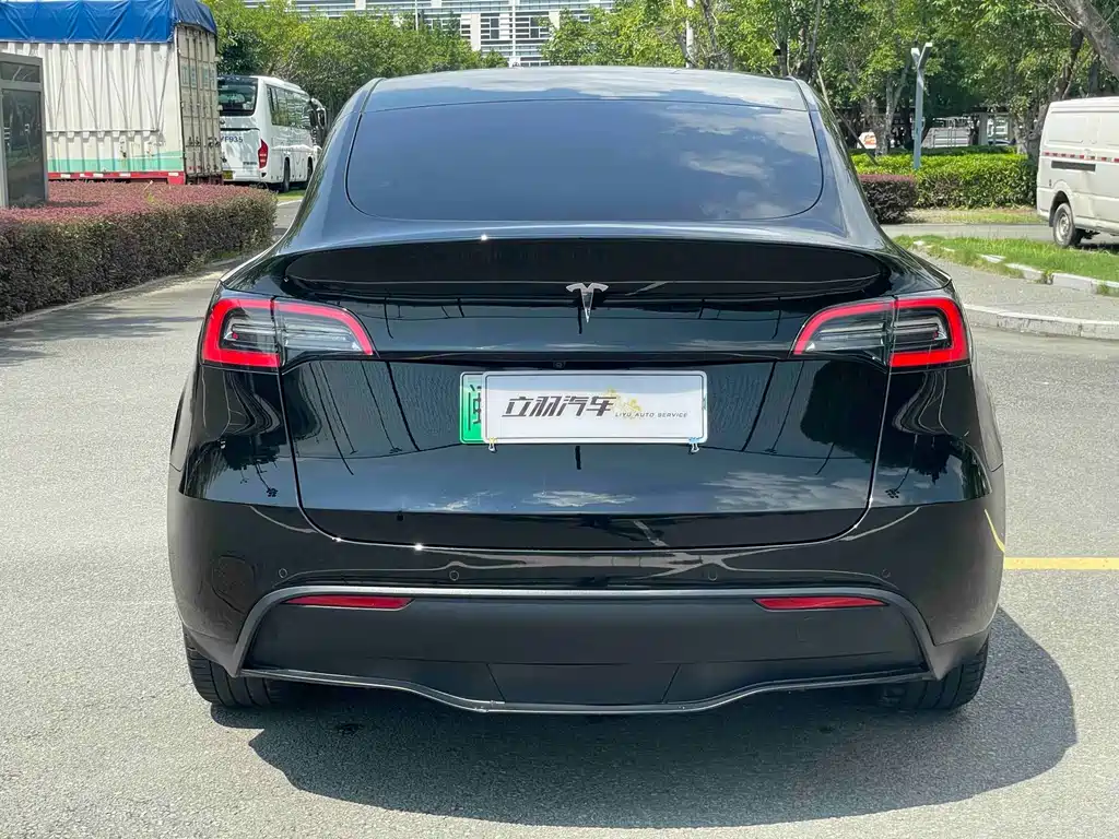 Tesla Model Y — миниатюра 15