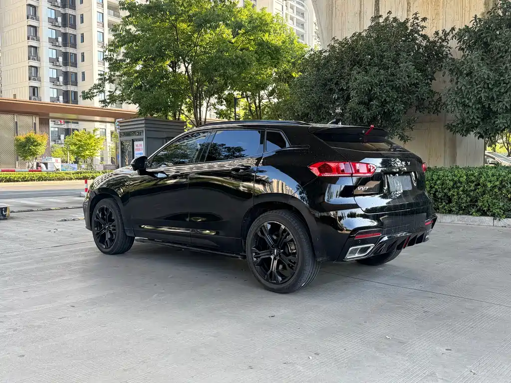 WEI PAI WEI BRAND VV7