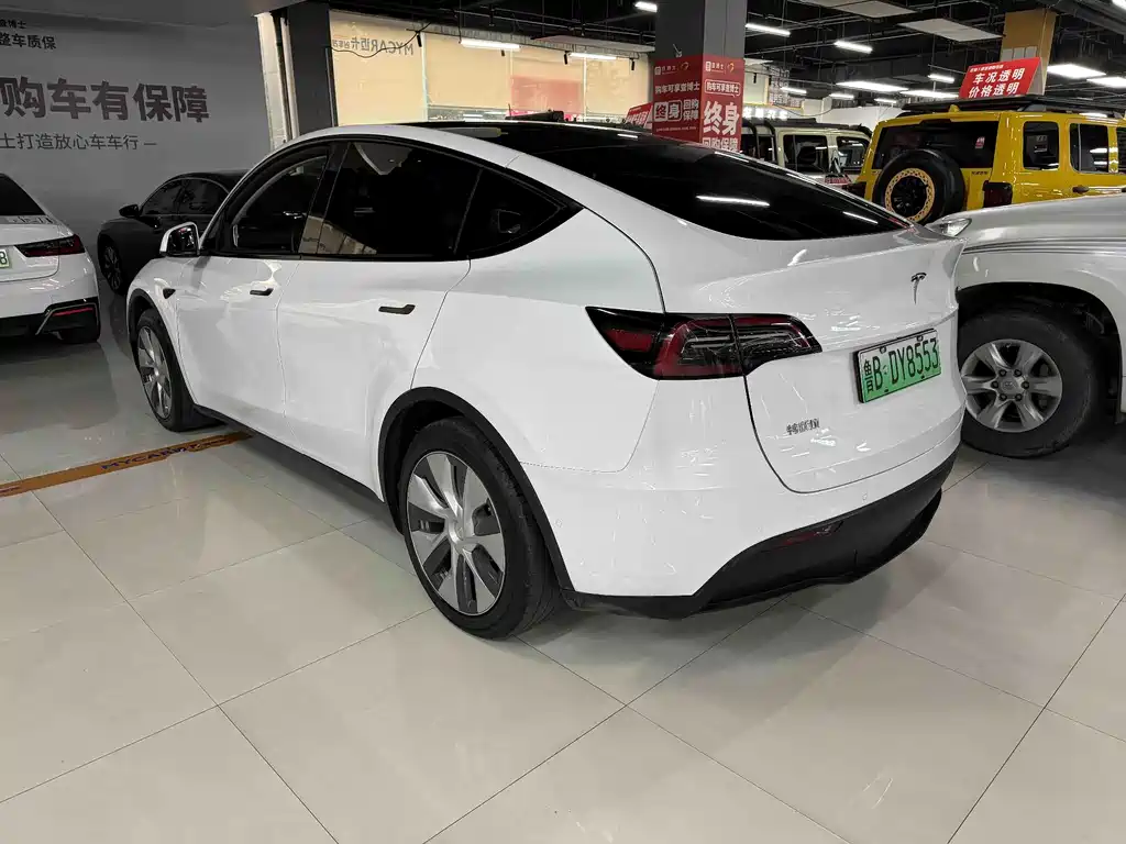 Tesla Model Y — миниатюра 7