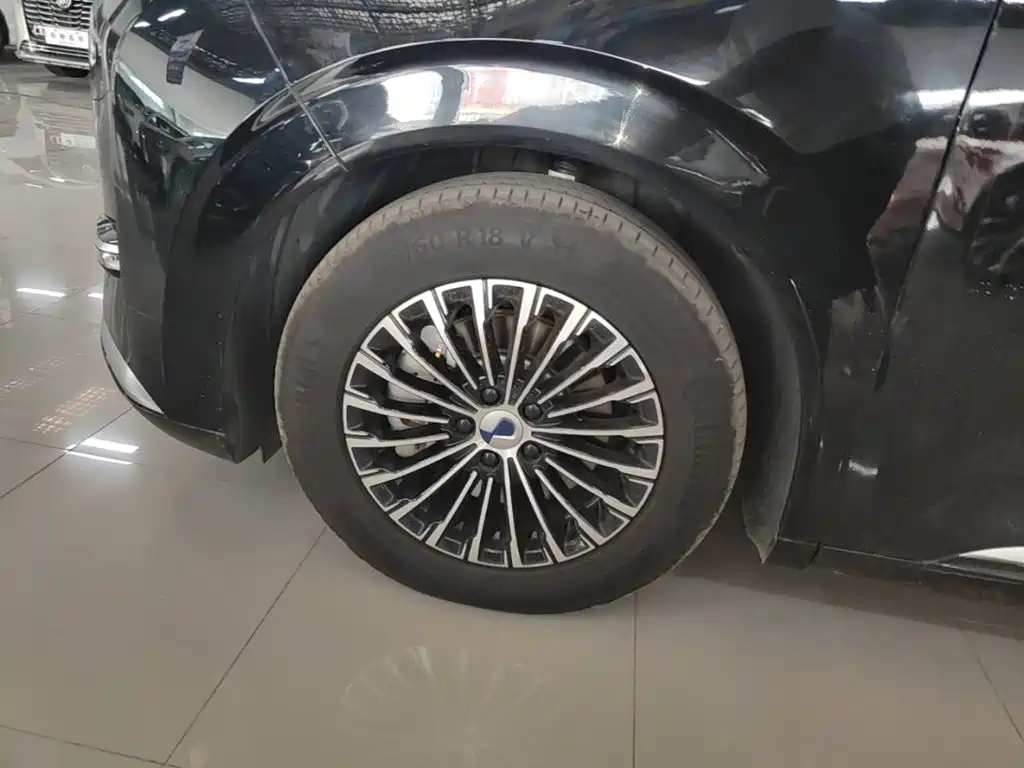 Denza Denza D9 — миниатюра 23