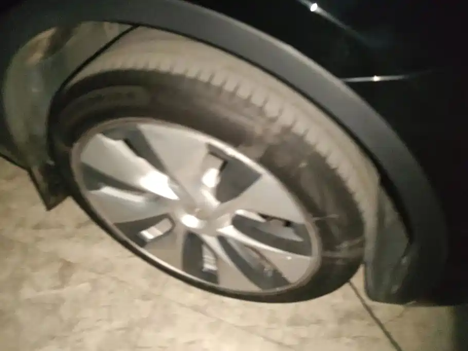 Tesla Model Y — миниатюра 6