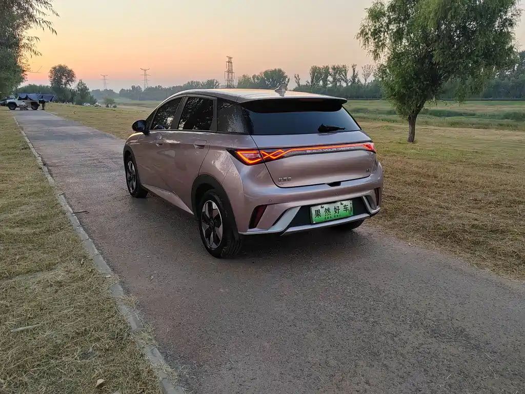 BYD Dolphin — миниатюра 4