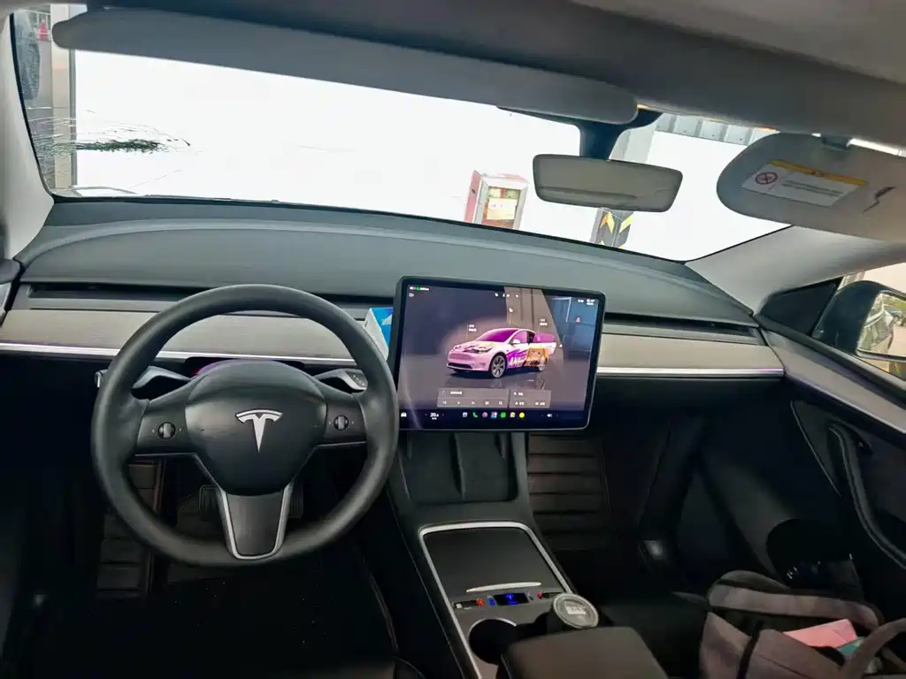 Tesla Model Y — миниатюра 4