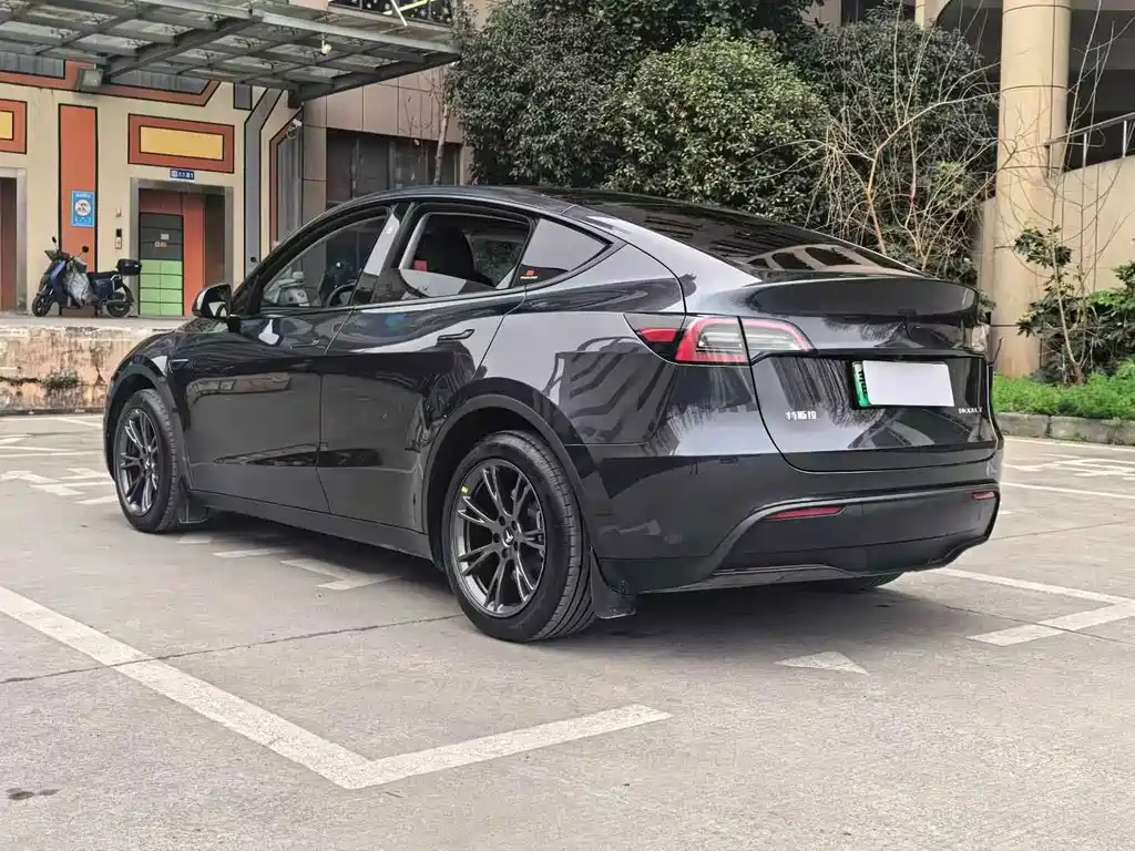 Tesla Model Y — миниатюра 7