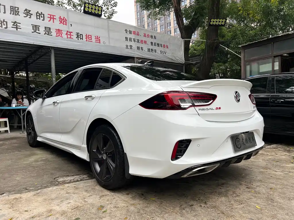 Buick Regal — миниатюра 19