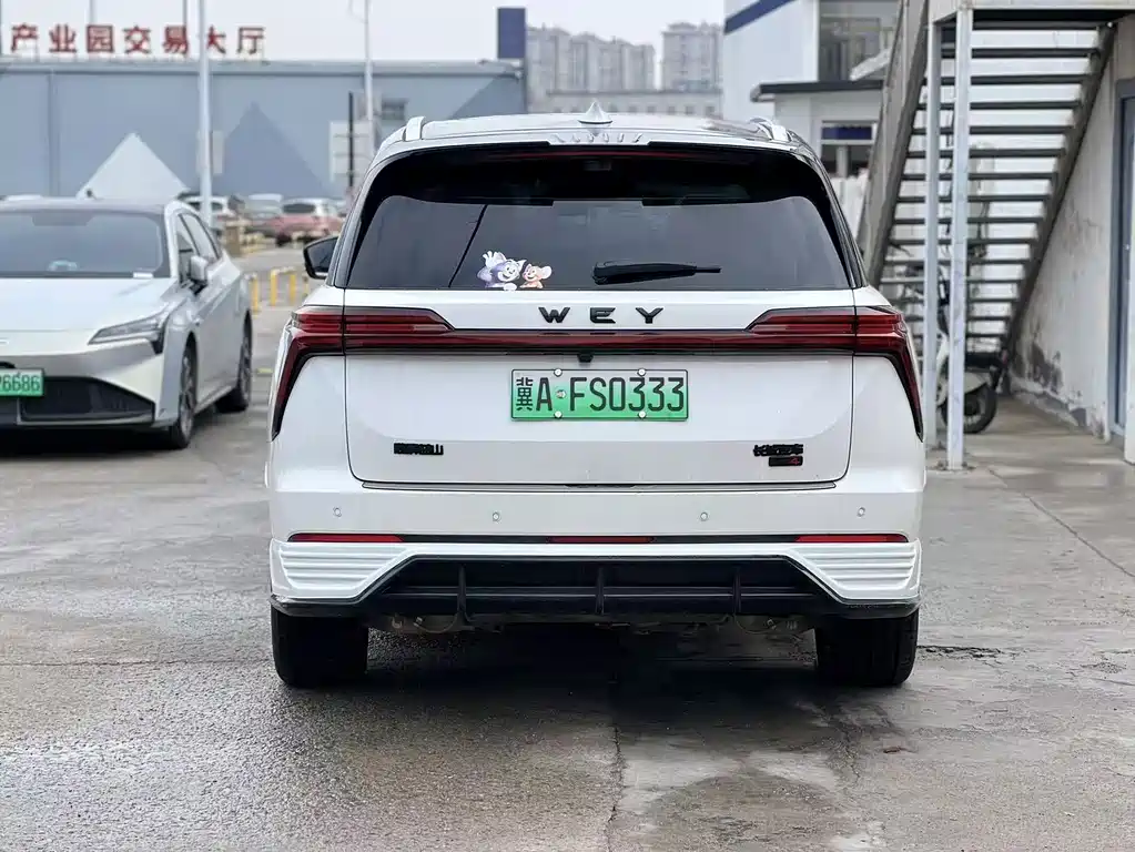 Wey Wey Lanshan — миниатюра 12