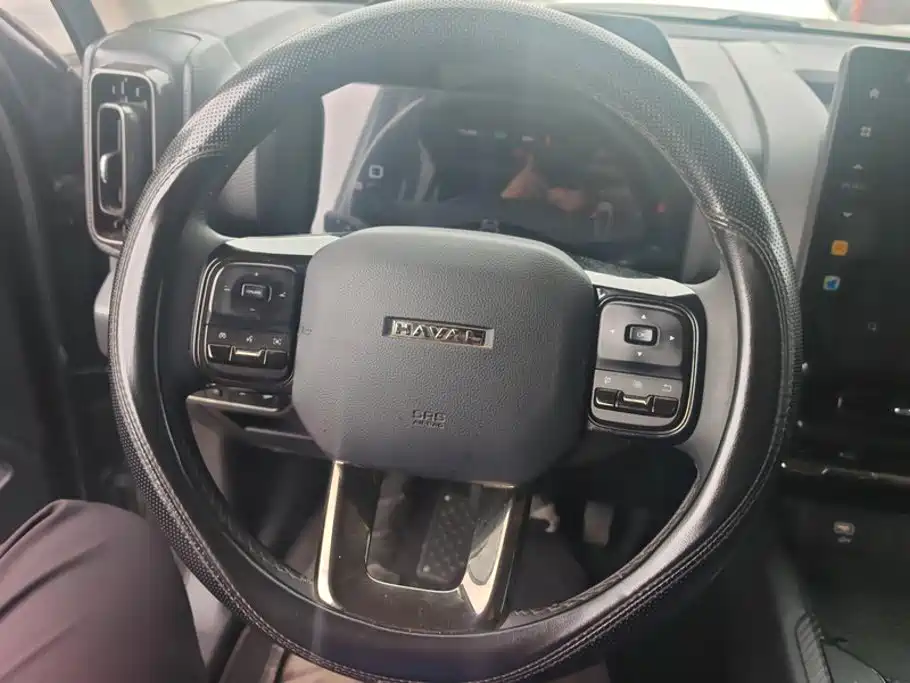 Haval Menglong New Energy — миниатюра 15
