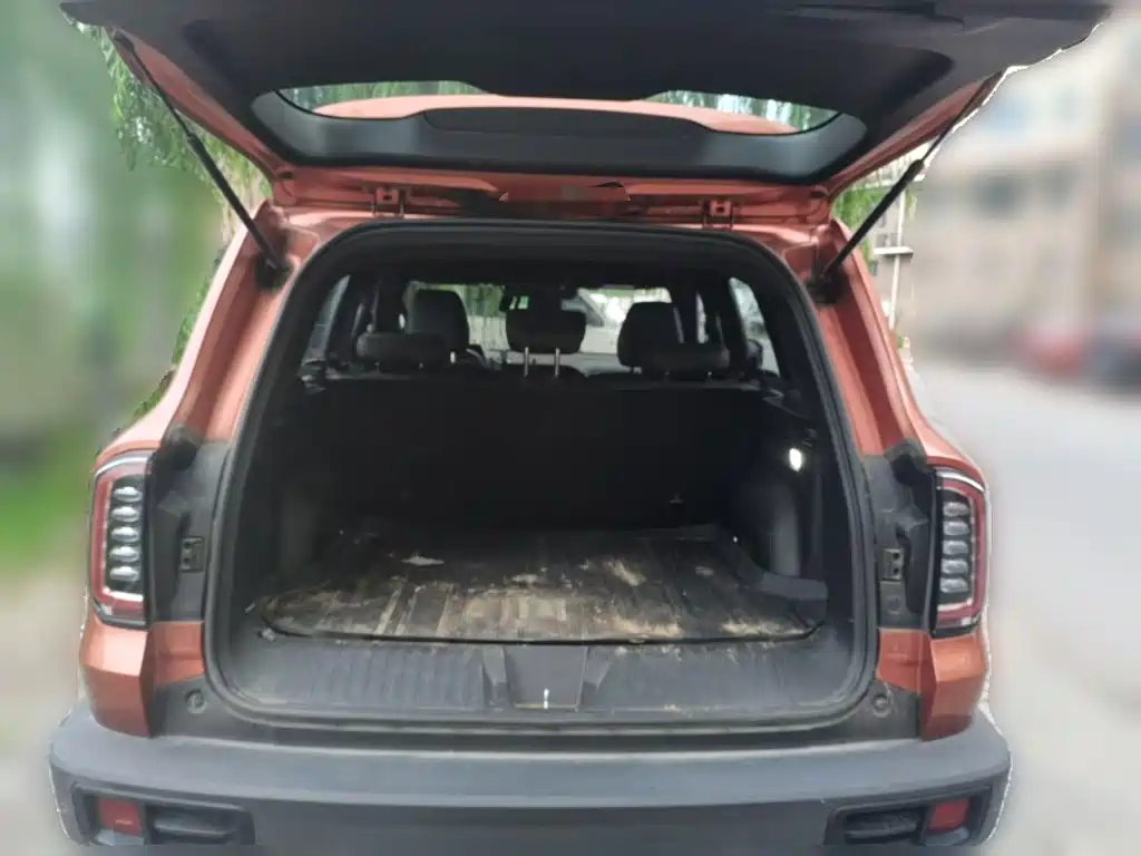 Haval Big Dog — миниатюра 20