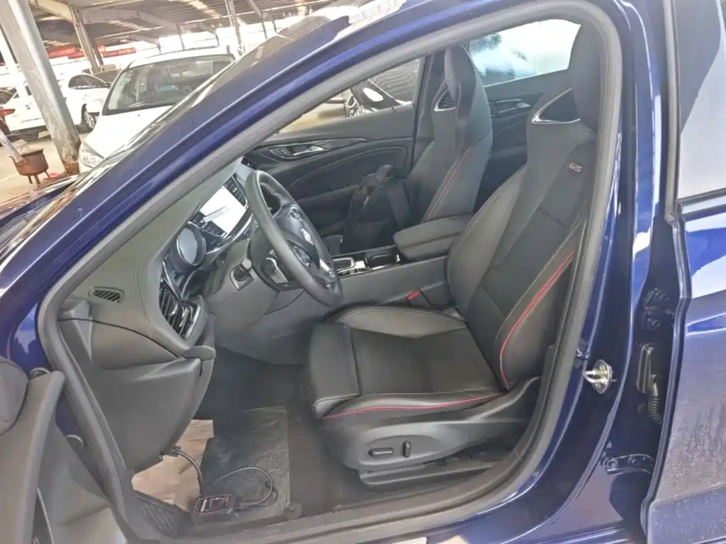 Buick Regal — миниатюра 15