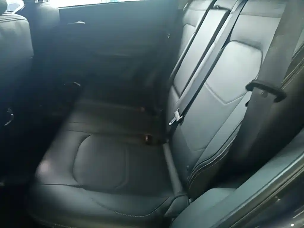 BYD Song — миниатюра 17