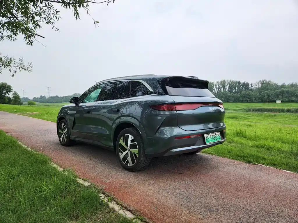 BYD Дон Л. — миниатюра 7