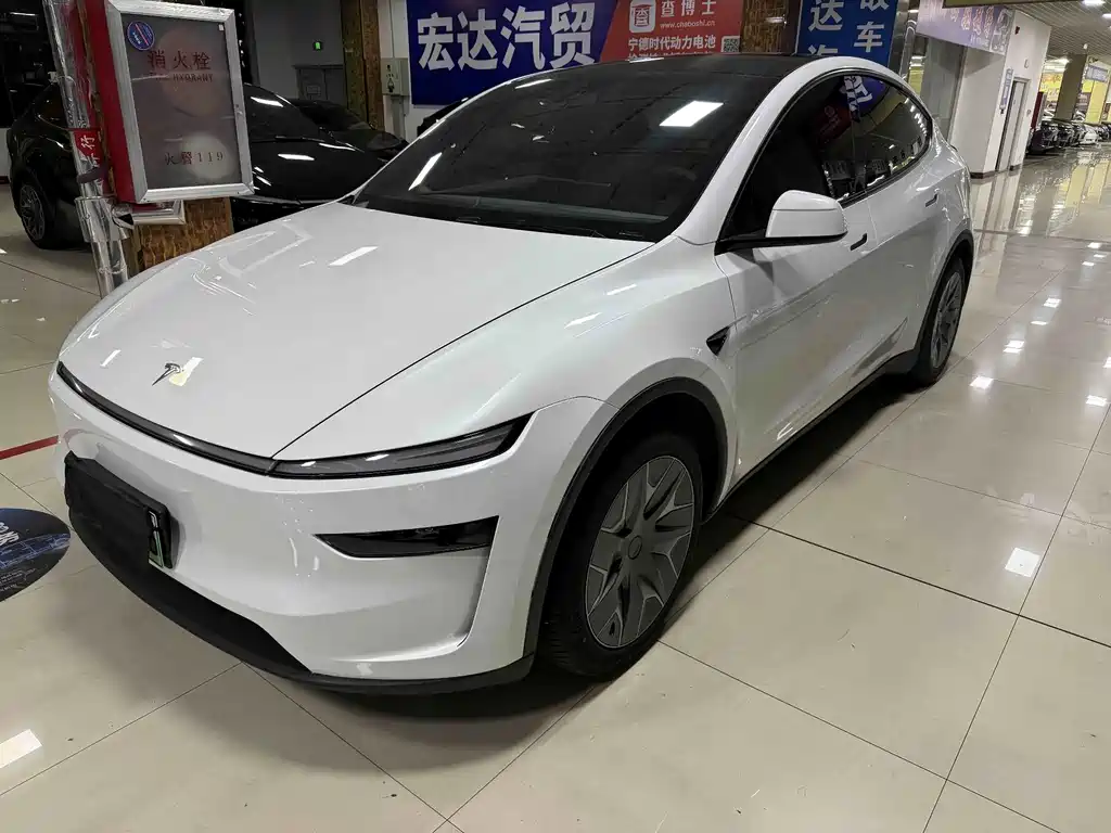 Tesla Model Y L — миниатюра 2