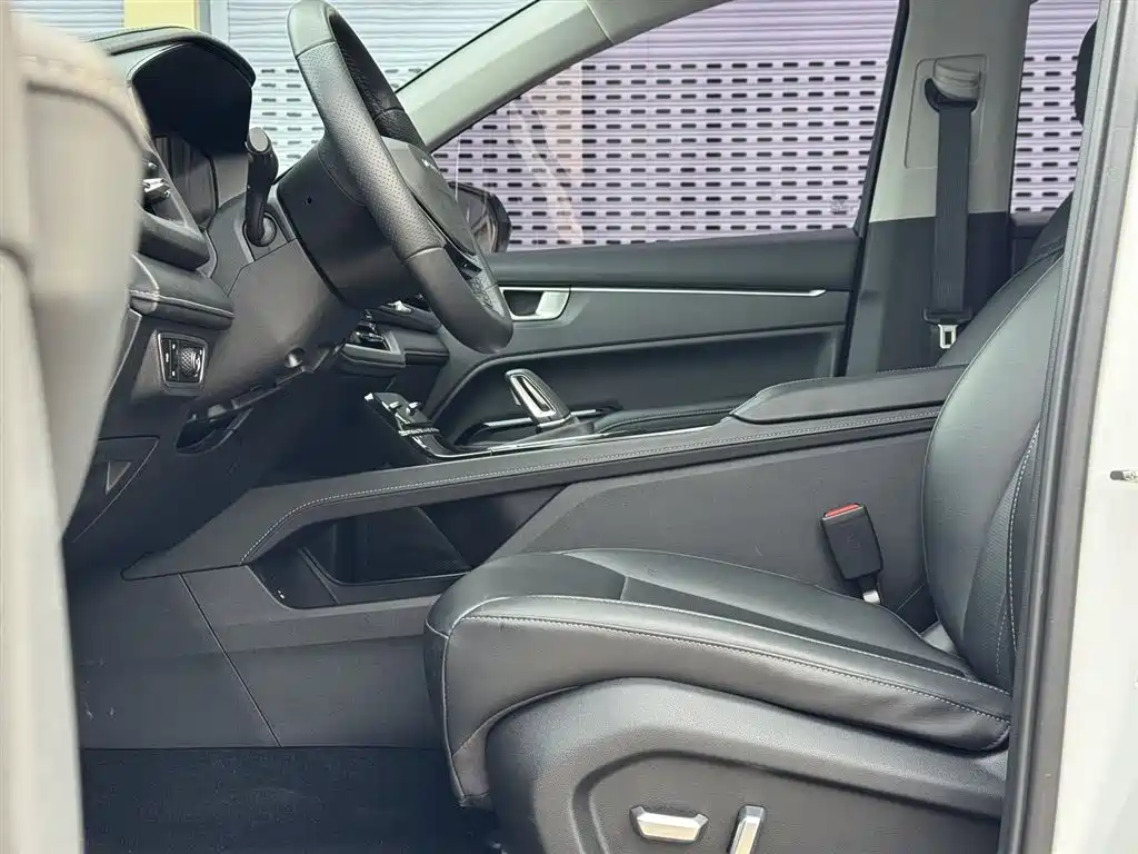 WULING WULING CAPGEMINI